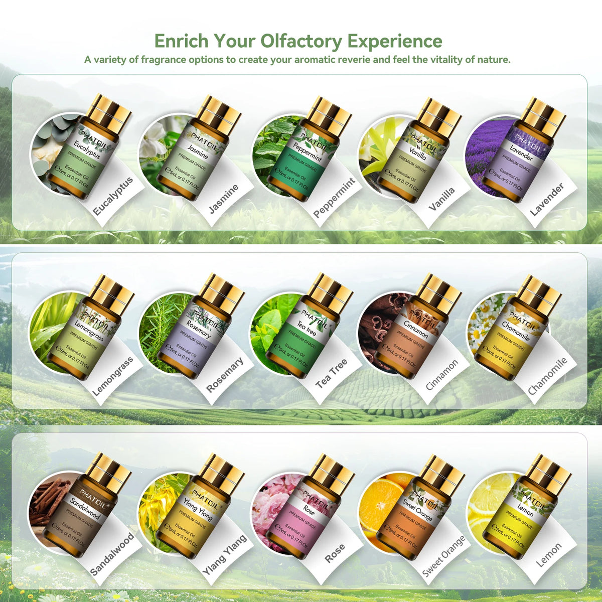 PHATOIL 15PCS Aromatherapy Essential Oil Set For Diffuser-5ml Cinnamon Lavender Eucalyptus Peppermint Lemon Vanilla Aroma Oils