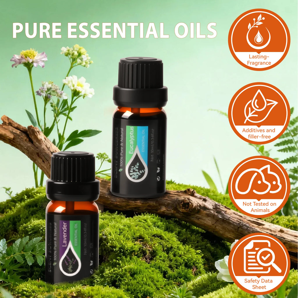 20Pcs/Set Classic Brand Essential Oil Set Lavender Eucalyptus Sweet Orange Lemon Aromatherapy Essential Oils Exclusive Formula